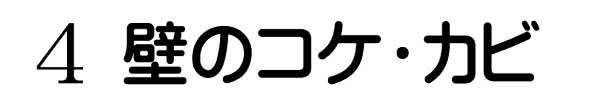 壁のコケ・カビ